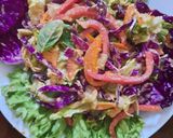 A picture of step 10 of Paneer Salad with Peanut & Cumin.