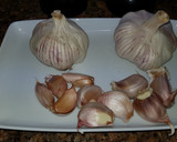 Foto del paso 4 de la receta: Aceitunas al estilo campo real (la recolección)