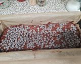 Cukkinis csokoládés süti (vegán) recept fázis 6 fotója