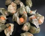 Une image de l'étape 1 de 🎁Panna 🥭cotta🍍 fête 🥳 les fruits exotiques🫐🥝.