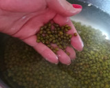 Foto del paso 1 de la receta: Brotes de soja caseros