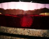 صورة لخطوة 5 من وصفة ترايفل 🍓