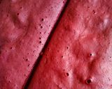 Foto langkah ke 4 dari resep Red Velvet Cake Kukus.
