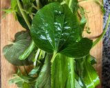 Hình bước làm 4 của món Canh Ốc Bồng Khoai Nấu Sấu