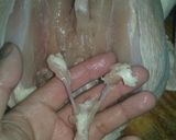 Foto del paso 3 de la receta: Pollo deshuesado