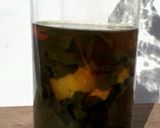 Foto del paso 1 de la receta: Licor de menta-