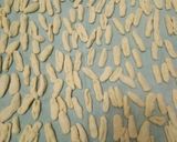 Foto del passaggio 2 della ricetta Tagliolini e cavatelli con ceci
