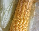 A picture of step 1 of Cheese Butter Corn.