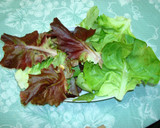 Foto del paso 2 de la receta: PALTA PACÍFICO (PALTA RELLENA CON ATÚN DEL PACÍFICO). JON STYLE