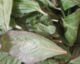 A picture of step 1 of Amarnatha bhaji.