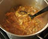 Hungarian Cabbage Roll Soup recipe step 9 photo