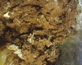 A picture of step 2 of Double Chocolate Espresso Cookies.