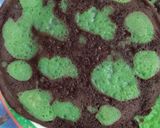 Foto langkah ke 3 dari resep Kulit Dadar gulung pandan.