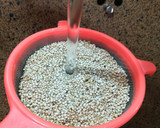 Foto del paso 3 de la receta: Bol de verduras asadas con quinoa