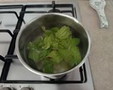 Foto del passaggio 2 della ricetta Infuso alla menta