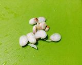 A picture of step 3 of Pea Sprout (Pea shoot) Soup .