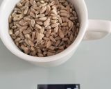 Fermentierte 🌻Sonnenblumenkerne Kräuterkäsetörtchen Rezeptschritt 1 Foto