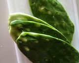 Foto del paso 1 de la receta: Nopales (cocción)