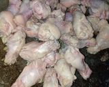 รูปขั้นตอนการทำที่ 3 ของ ต้มฟักใส่ไก่