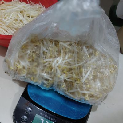 Langkah 4