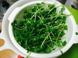 Canh rau mầm