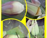 Foto langkah ke 1 dari resep Tumis Jantung Pisang klutuk.
