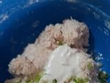 Pempek Adaan Palembang