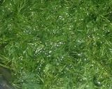 A picture of step 1 of Soy pulao.