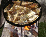 Foto del paso 12 de la receta: Bagre frito al disco de arado