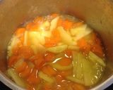 Une image de l'étape 2 de Soupe de carotte et pomme de terre (légère).