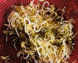 Foto langkah ke 1 dari resep Tumis toge tahu.