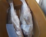 Une image de l'étape 1 de Poisson au four.
