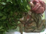 Cuốn rượu nếp - Quà ngon dịp Tết Đoan Ngọ