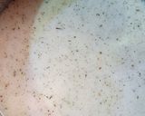 A picture of step 4 of Pudina (Raita).