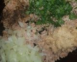 Foto del paso 1 de la receta: Hamburguesas de atún caseras