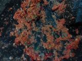 Sambal terong ala my mom