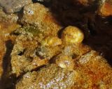 Foto langkah ke 9 dari resep Rendang Daging Dan Telur Puyuh.