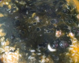 Foto del paso 12 de la receta: Arroz negro