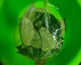 Foto langkah ke 1 dari resep Es Cincau Hijau Homemade.