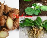A picture of step 5 of Cassava Fine Fried (POLUS).