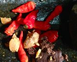Foto langkah ke 1 dari resep Sambel Terasi Lombok.