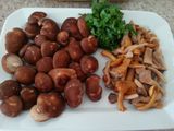 Pasta con setas / hongos
