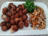 Pasta with mushrooms