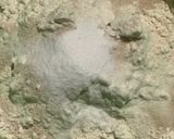 A picture of step 1 of Gurasa.