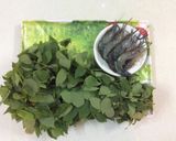 Hình bước làm 1 của món Canh rau bồ ngót tôm