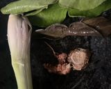 Foto langkah ke 2 dari resep Soto ayam bumbu kering.