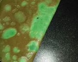 Foto langkah ke 3 dari resep Crepes pandan.