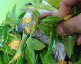 Foto langkah ke 4 dari resep Pepes Ikan Kakap.