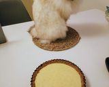 美式萊姆派-Key Lime Pie的食譜步驟3照片