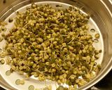 Foto langkah ke 5 dari resep Home Made kecambah/tauge.